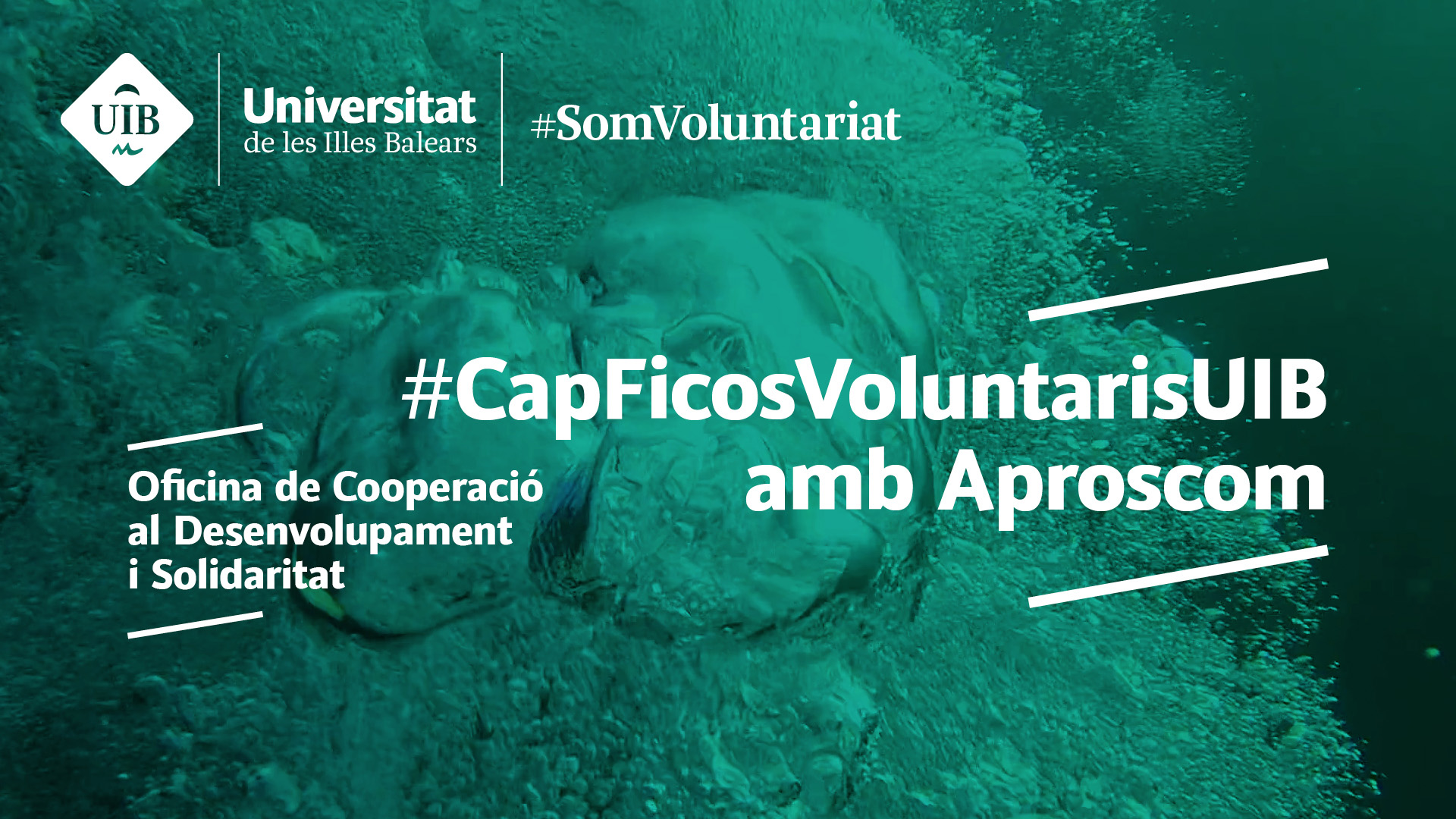 CapFicosVoluntarisUIB amb Aproscom