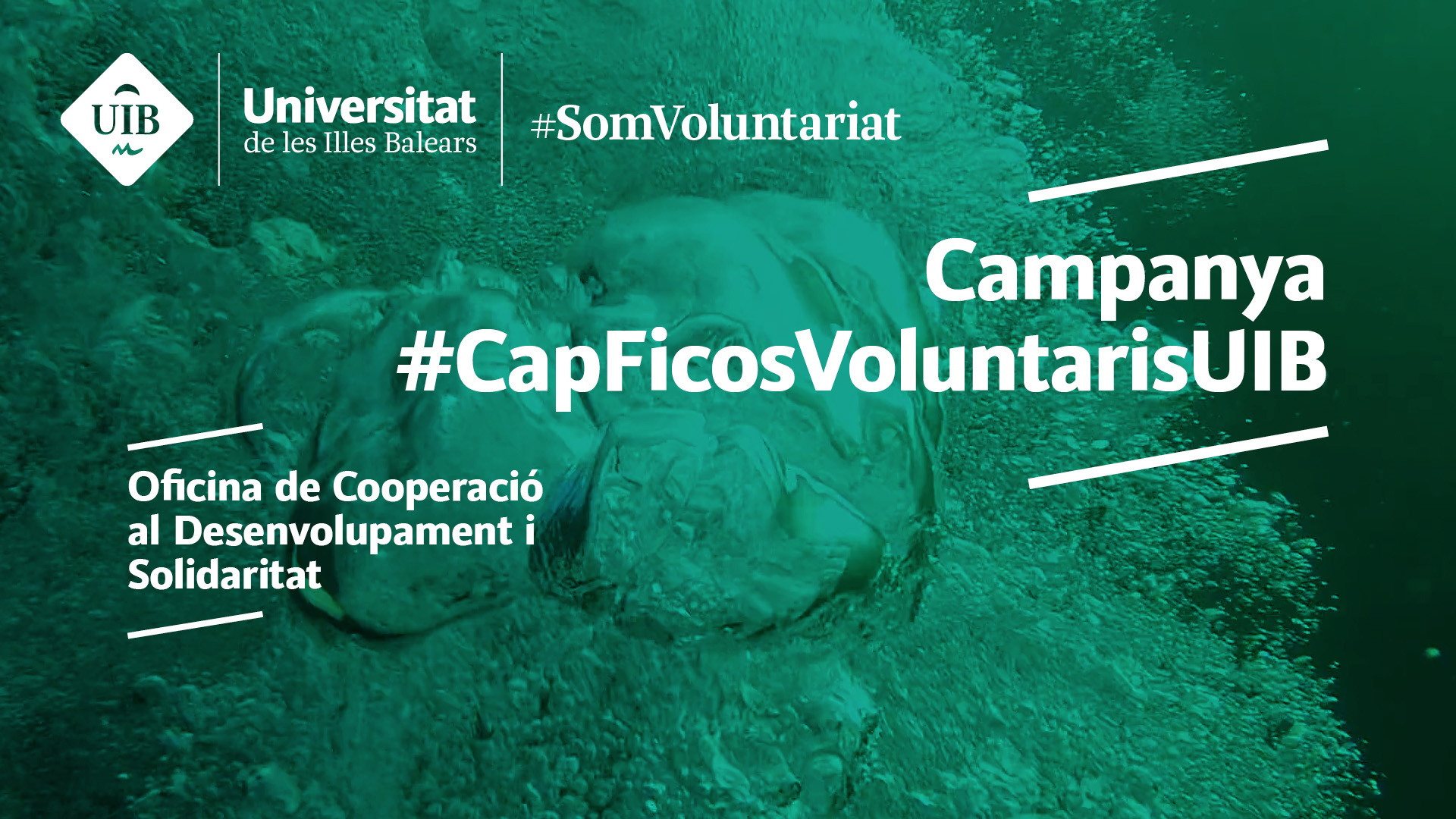 Campanya #CapFicosVoluntarisUIB